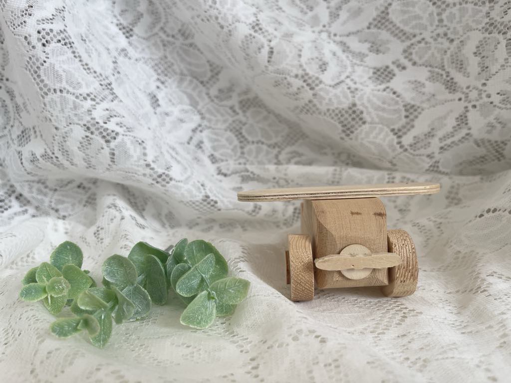 Avion en bois